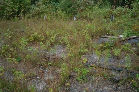 Hiawatha Drive-In Theatre - More Screen Foundation
